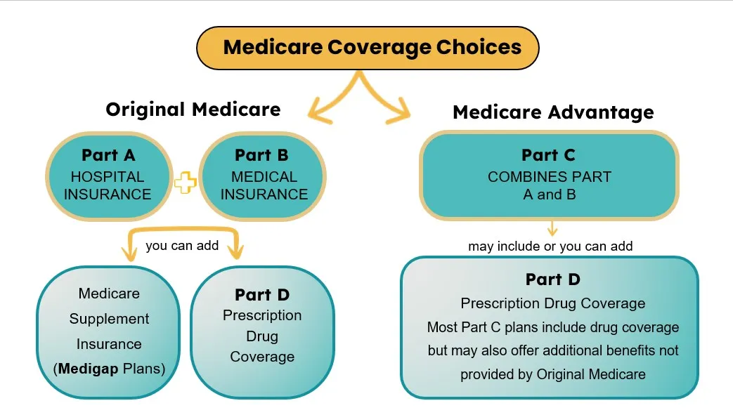 Diagram showing Original Medicare and Medicare Advantage coverage choices